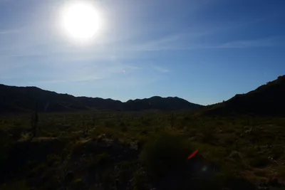 DSC_1828 (Large).JPG